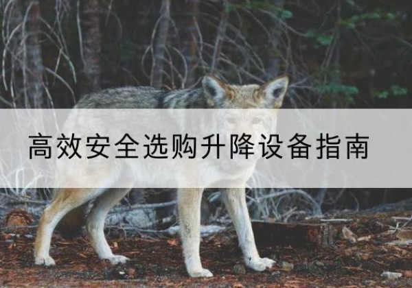 富蕴升降货梯厂家推荐-*安全选购升降设备指南
