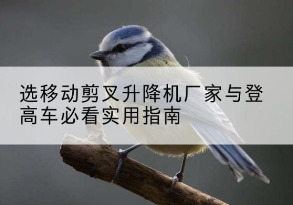 富蕴电动升降机厂家-选移动剪叉升降机厂家与登高车必看实用指南